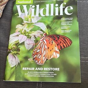 Orange and Black Butterfly Magazine Cover